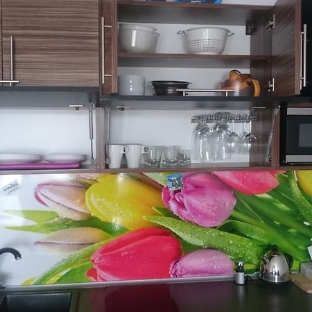 Apartament Masovia Мронгово Экстерьер фото