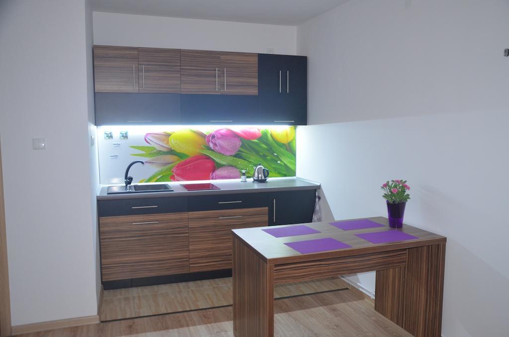 Apartament Masovia Мронгово Номер фото