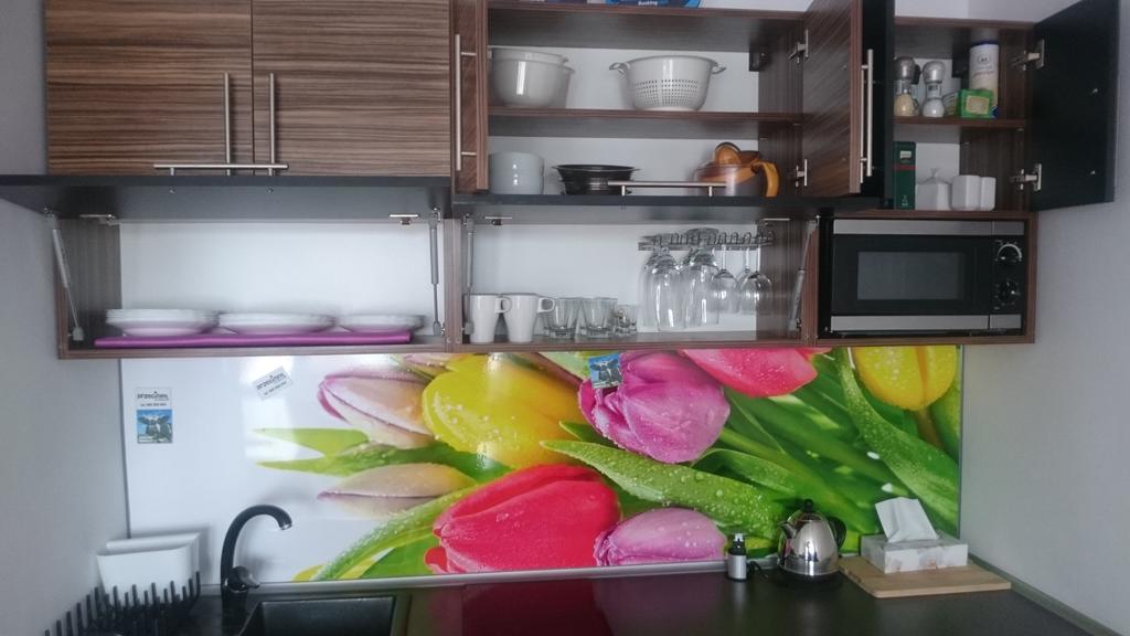 Apartament Masovia Мронгово Экстерьер фото